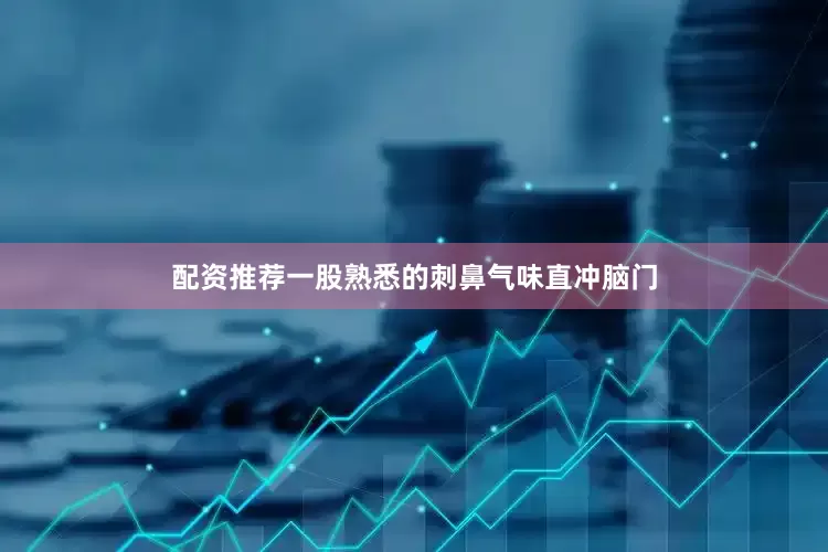 配资推荐一股熟悉的刺鼻气味直冲脑门
