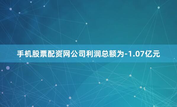 手机股票配资网公司利润总额为-1.07亿元