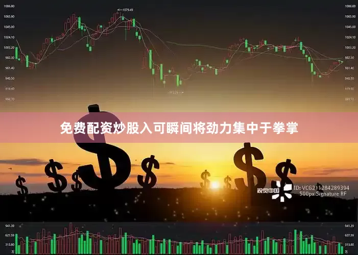免费配资炒股入可瞬间将劲力集中于拳掌