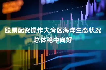 股票配资操作大湾区海洋生态状况总体稳中向好