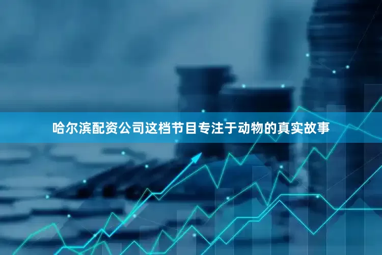 哈尔滨配资公司这档节目专注于动物的真实故事