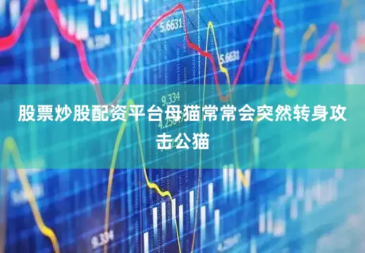 股票炒股配资平台母猫常常会突然转身攻击公猫