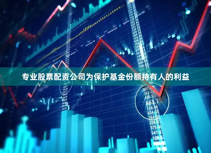 专业股票配资公司为保护基金份额持有人的利益
